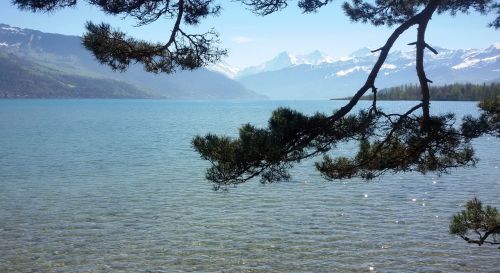 switzerland lake thun