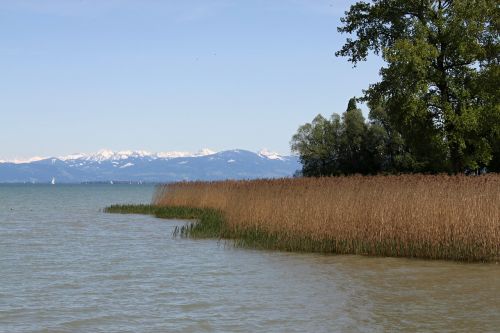 switzerland lake constance lake