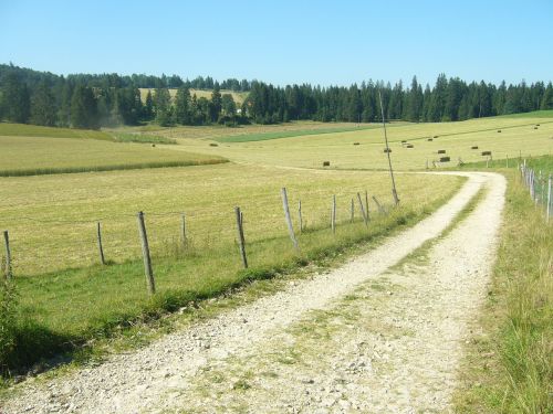 switzerland road field