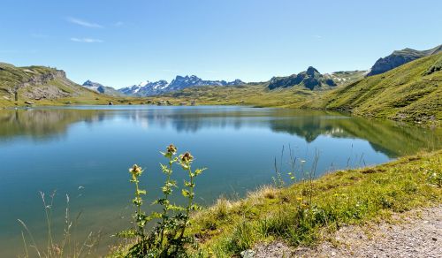 switzerland mountains bergsee