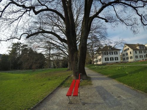 switzerland park green grass