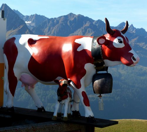 switzerland gotthard-pass cow