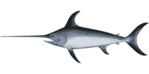 swordfish species underwater