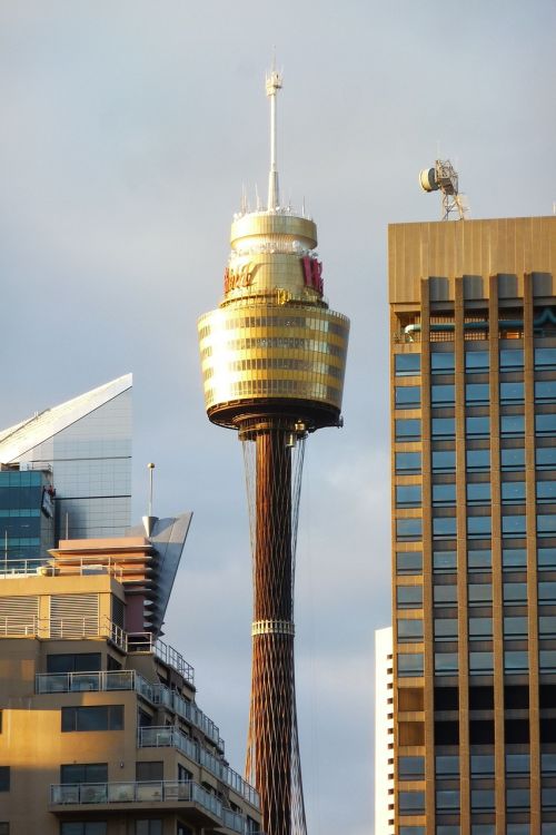 sydney tv tower view