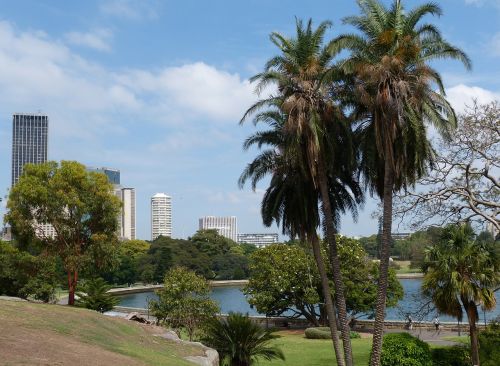 sydney australia botanical garden