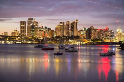 sydney harbour boats dawn