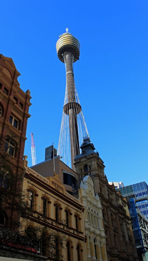 sydney tower city view from the bottom