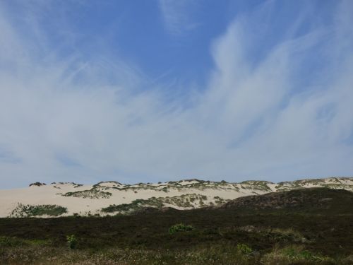 sylt dunes dune