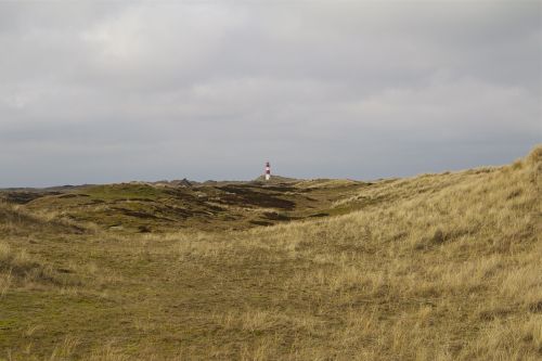 sylt elbow north sea