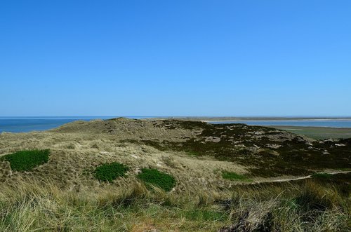 sylt  elbow  dune landscape