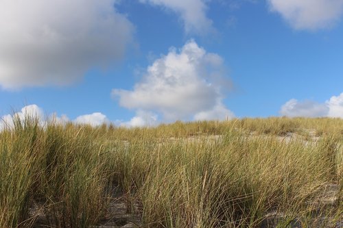 sylt  dune landscape  blue sky