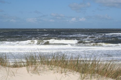 sylt  beach  north sea