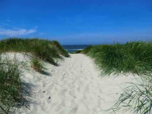 sylt beach sand