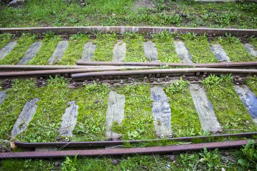 synchronously train tracks grass