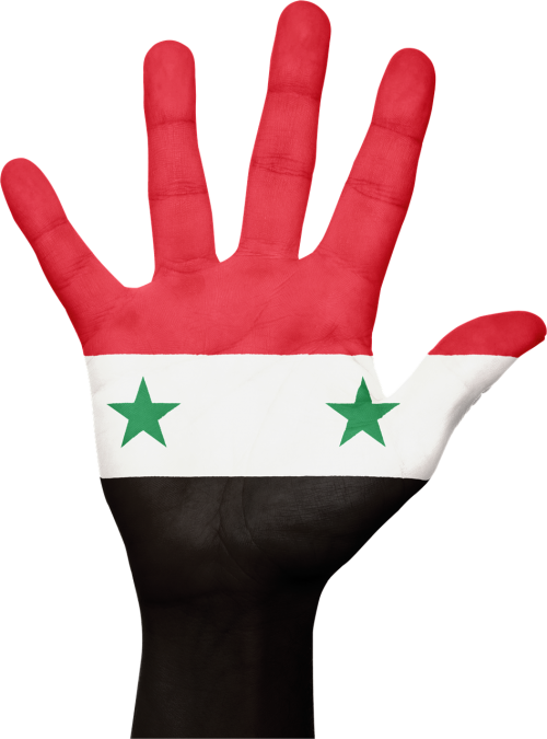 syria flag hand