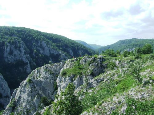 szurkodvölgy forest previously existing limestone plateau
