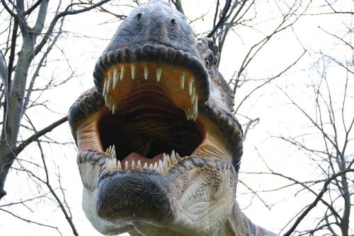 t-rex dinosaur teeth