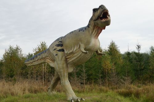t rex tyrannosaurus tyrannosaurus rex