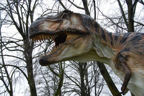 t-rex dinosaurs teeth