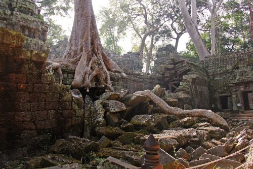 ta prohm temple tomb raider fame temple