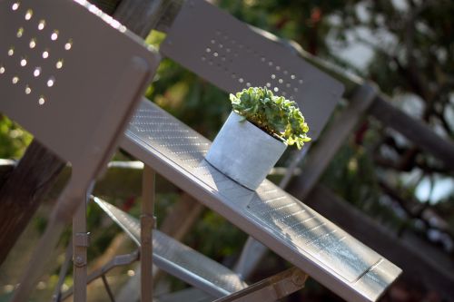 table outside nature