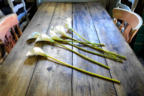 table flowers wood