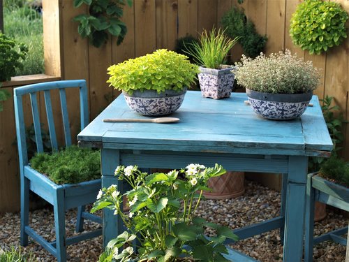 table  plants  chair