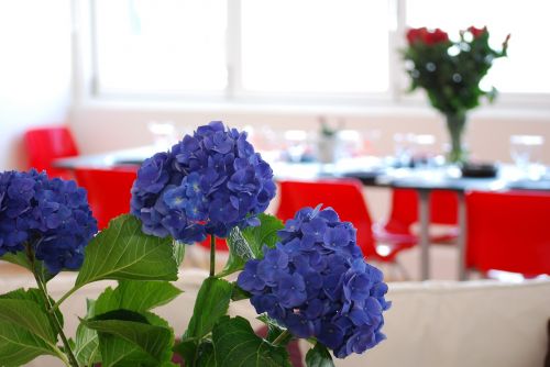 table setting flowers