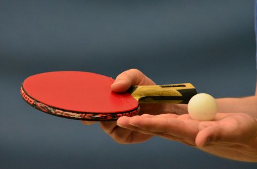 table tennis ping-pong table tennis bat