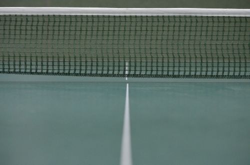 table tennis ping-pong network
