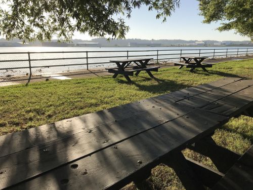 tables nature grass