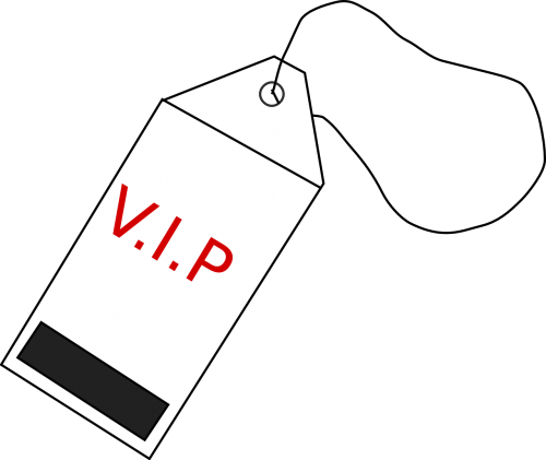 tag vip luggage