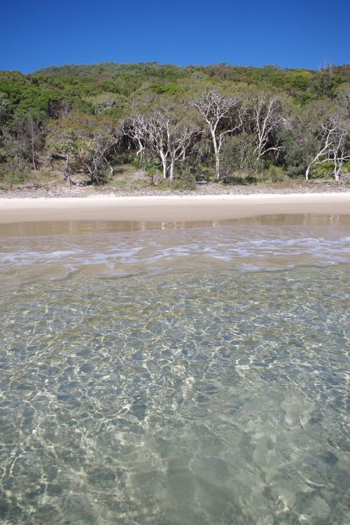 tagsocean beach australia