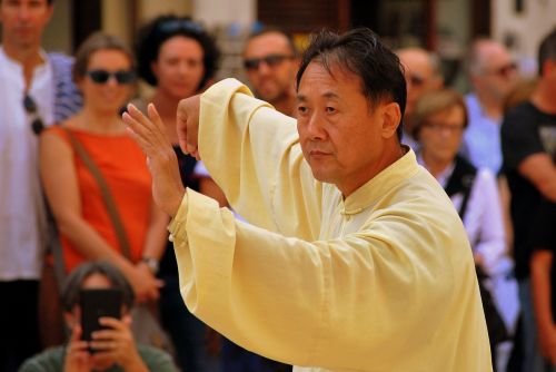 tai chi taiji martial