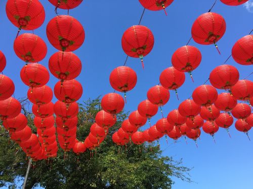 taichung park lantern festival 燈 long