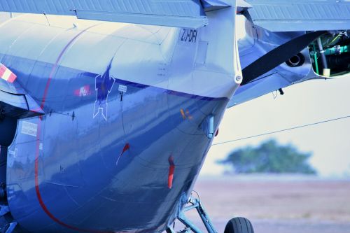 Tail Of Albatross Aircraft