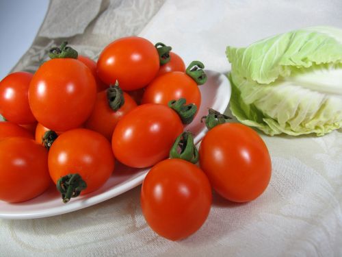 taiwan new varieties tomatoes
