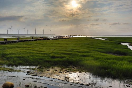 taiwan scenic views green