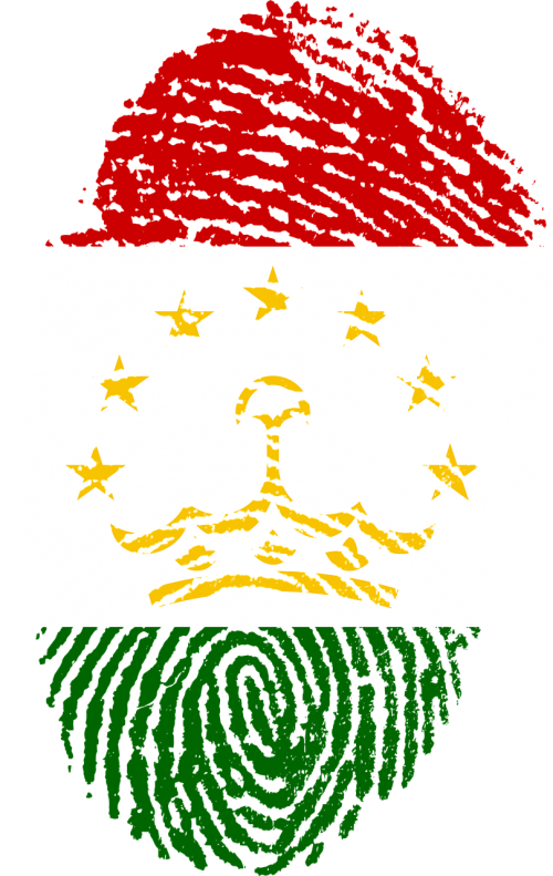 tajikistan flag fingerprint