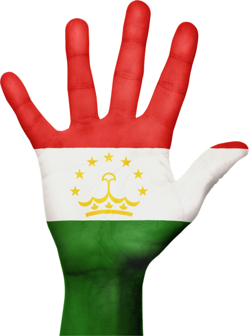 tajikistan flag hand