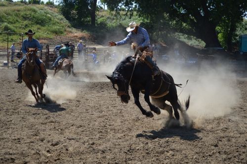 talahi jump jumping