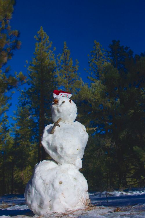 Tall Frosty Snowman