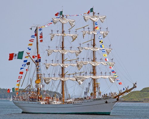 tall ship  halifax  nova scotia