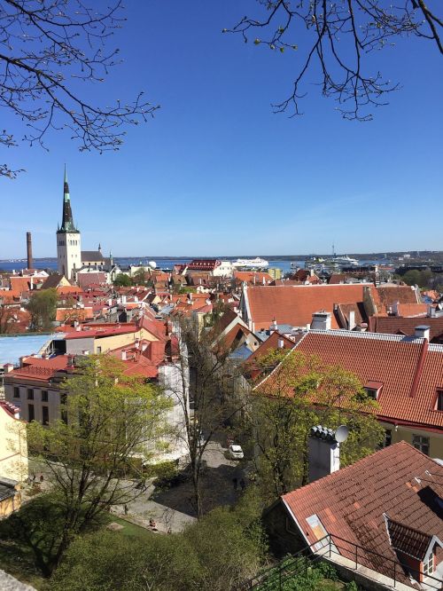 tallinn europe roof