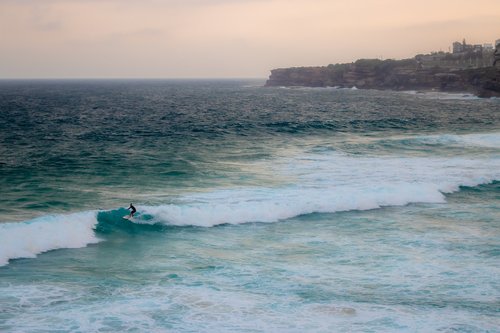 tamarama beach  surfer  wave