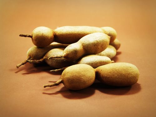 tamarind isolated ripe