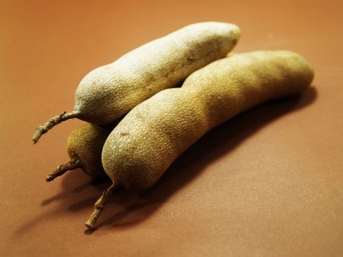 tamarind isolated ripe