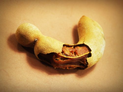 tamarind isolated ripe