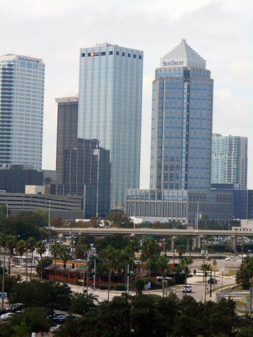 tampa florida skyline