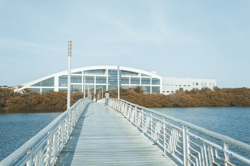 tampico  bridge  laguna